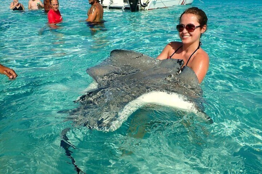 A friendly Stingray