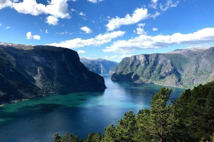 Guided Tour To Nærøyfjorden, Flåm And Stegastein - Viewpoint Cruise