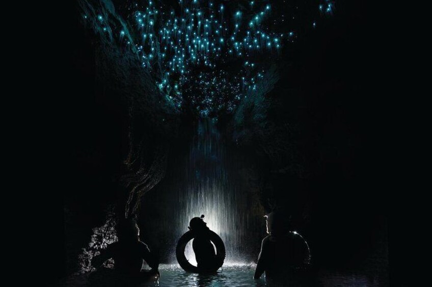 Waitomo Caves Tour 