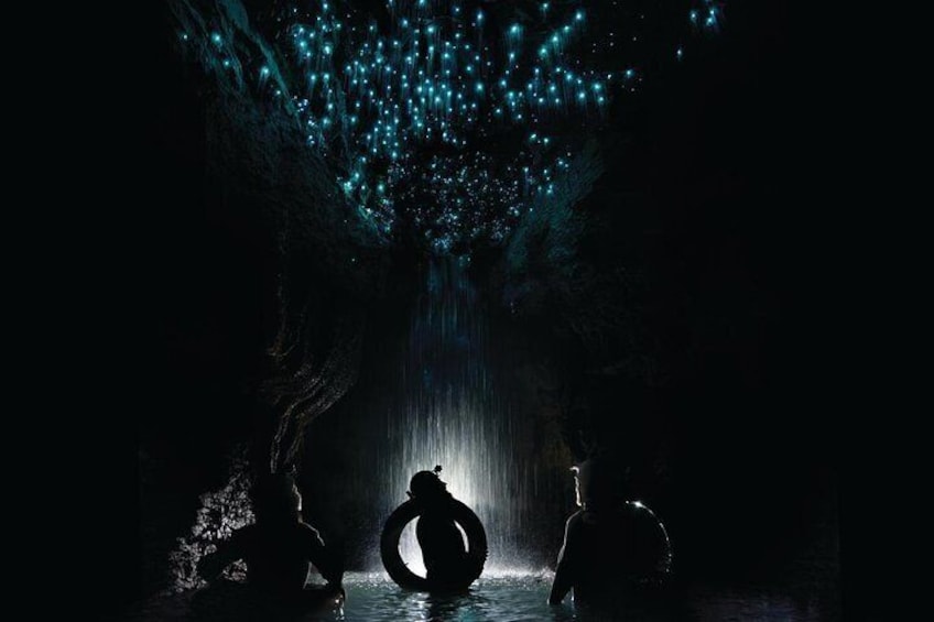 Waitomo Caves Tour