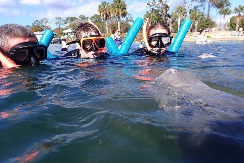 This curious manatee enjoyed playing peekaboo with these youngsters.