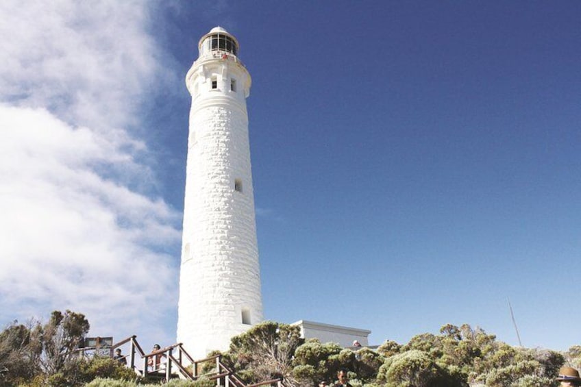 Margaret River, Caves, Wine and Cape Leeuwin Lighthouse Tour from Perth