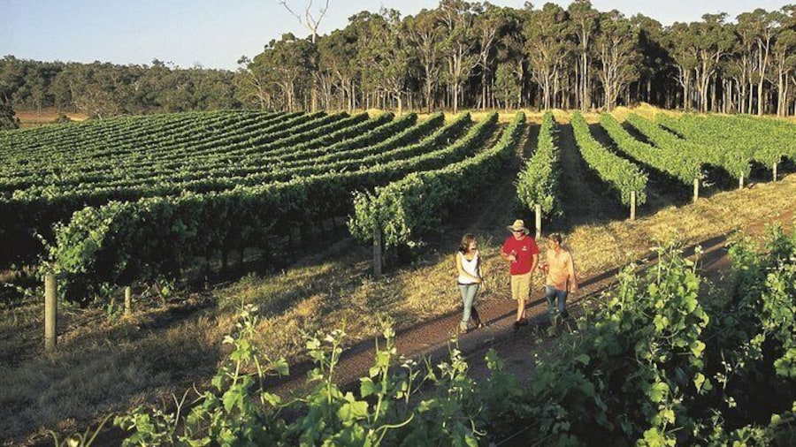 Margaret River, Caves, Wine and Cape Leeuwin Lighthouse Tour from Perth