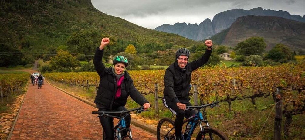 Picture 11 for Activity From Cape Town: Franschhoek Vineyards Bike Tour with Lunch