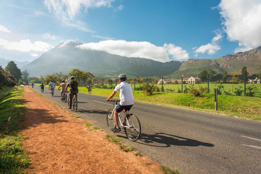 Picture 10 for Activity From Cape Town: Franschhoek Vineyards Bike Tour with Lunch