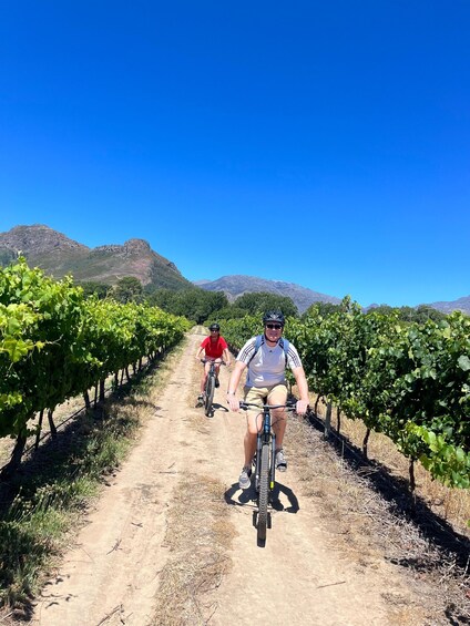 From Cape Town: Franschhoek Vineyards Bike Tour with Lunch