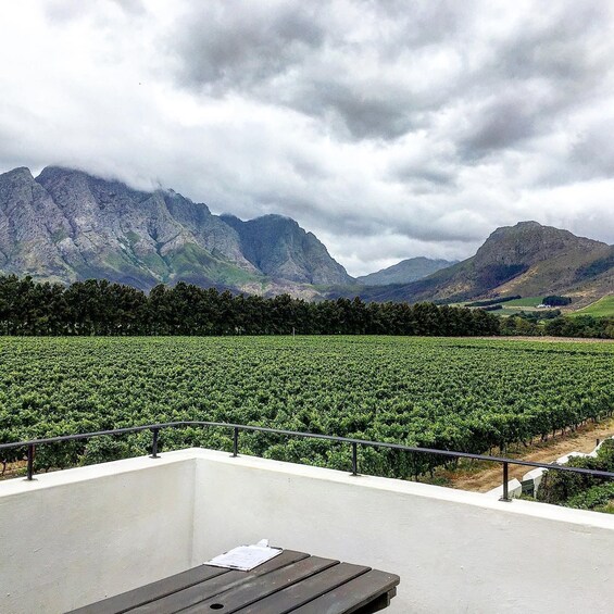 From Cape Town: Franschhoek Vineyards Bike Tour with Lunch