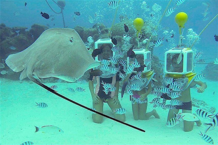 Bring your all family underwater with Aqua Safari Helmet Diving in Bora Bora.