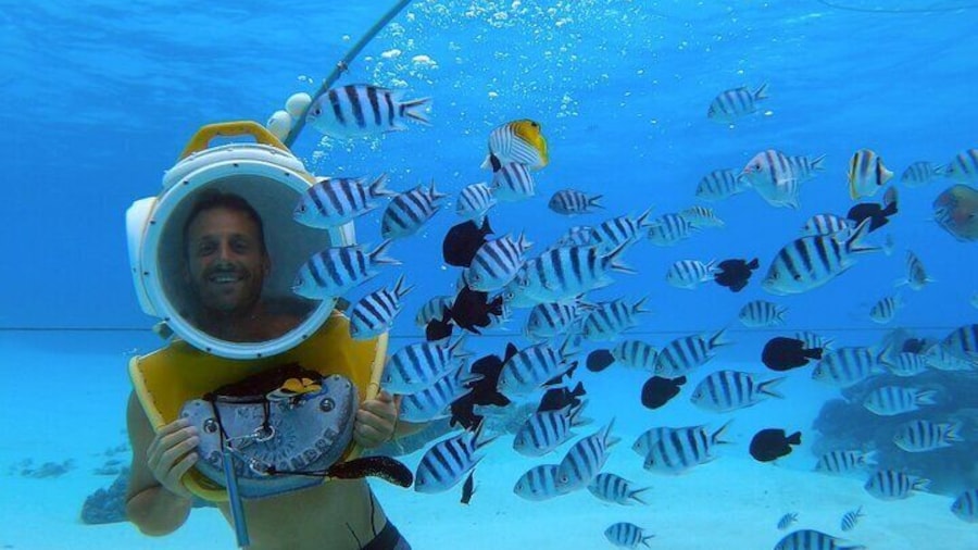 Introductory helmet diving in Bora Bora