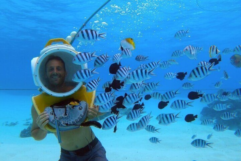Introductory helmet diving in Bora Bora