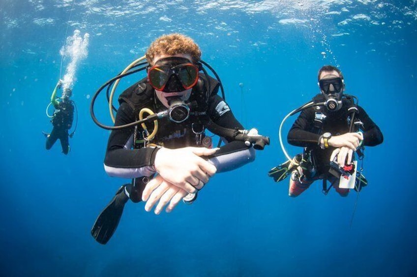 Kauai's Ultimate Discover Scuba Dive - OCEAN EXPERIENCE (1 Tank Dive)