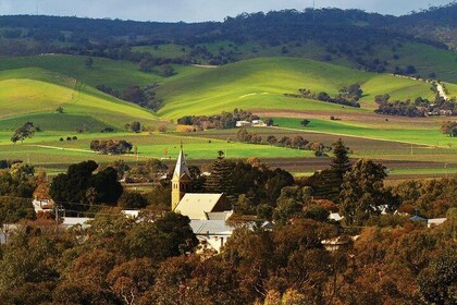 Tour hop-on hop-off della regione vinicola della Barossa Valley da Adelaide