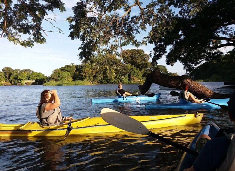 Picture 6 for Activity Las Isletas: Kayak Tour