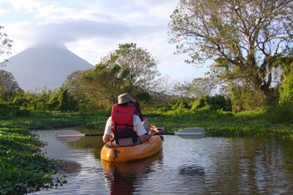 Las Isletas: Kayak Tour