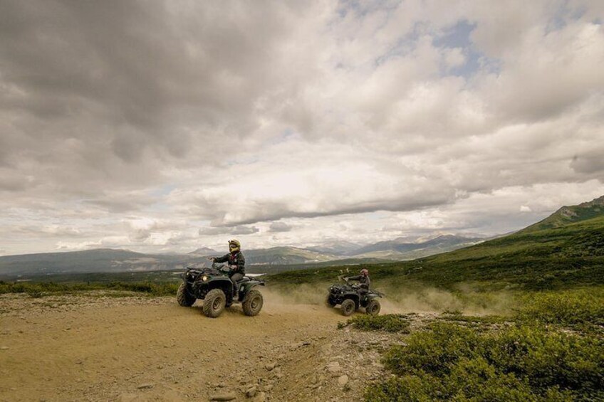 Denali ATV Trailblazer 3.5 Hour Tour 