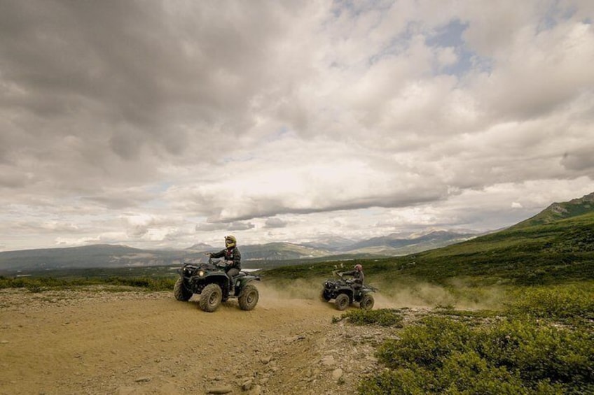 Denali ATV Trailblazer 3.5 Hour Tour
