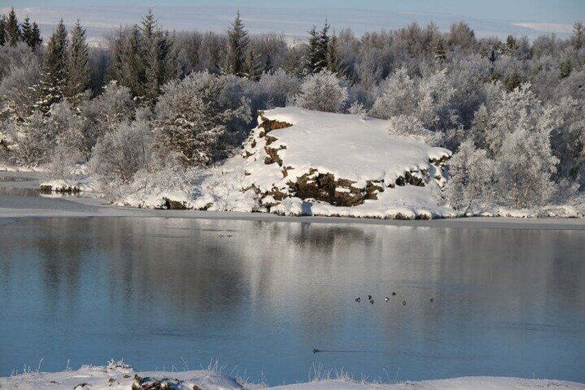 myvatn in winter