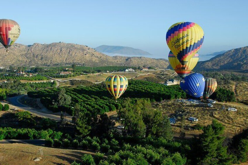 Sunrise Temecula Balloon Flight