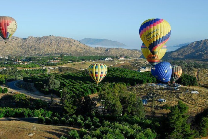 Sunrise Temecula Balloon Flight