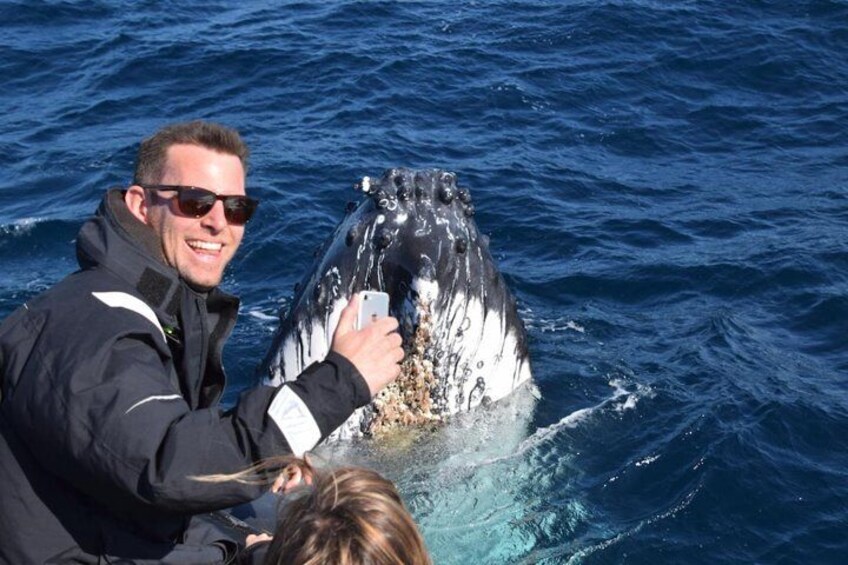 Up close Whale watching