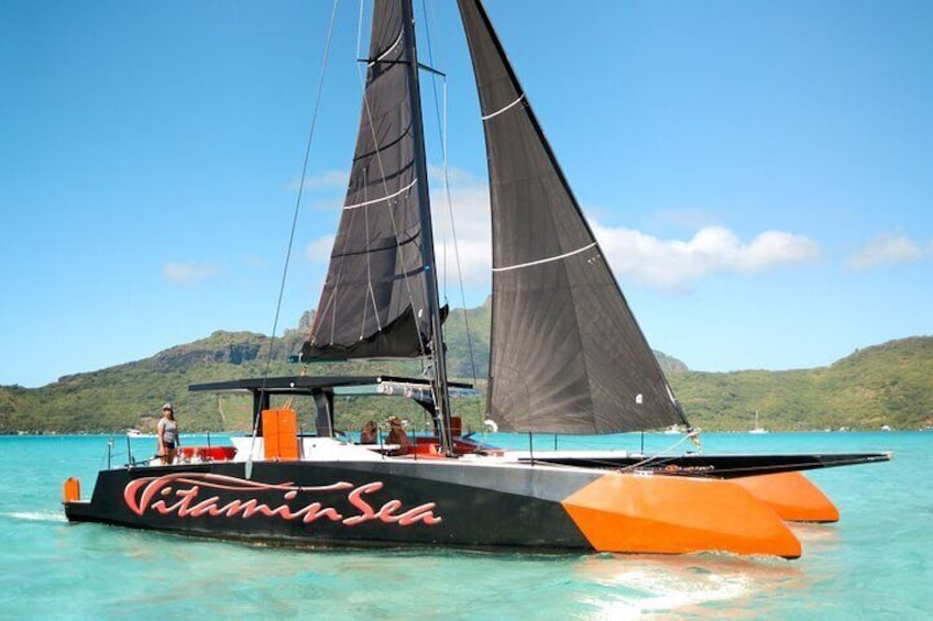 The New Vitamin Sea Catamaran