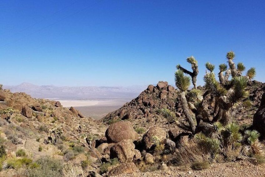 Half-Day Electric Bike Tour of Red Rock Canyon