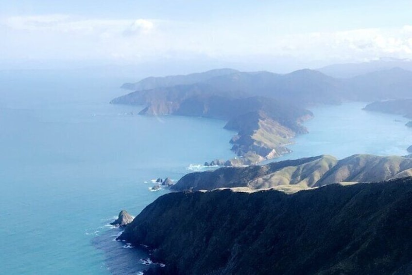 Bay of Many Coves Helicopter Tour with 3-Course Lunch from Wellington