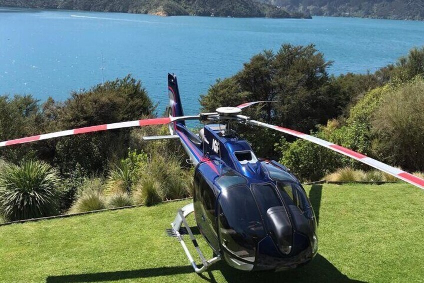 Bay of Many Coves Helicopter Tour with 3-Course Lunch from Wellington