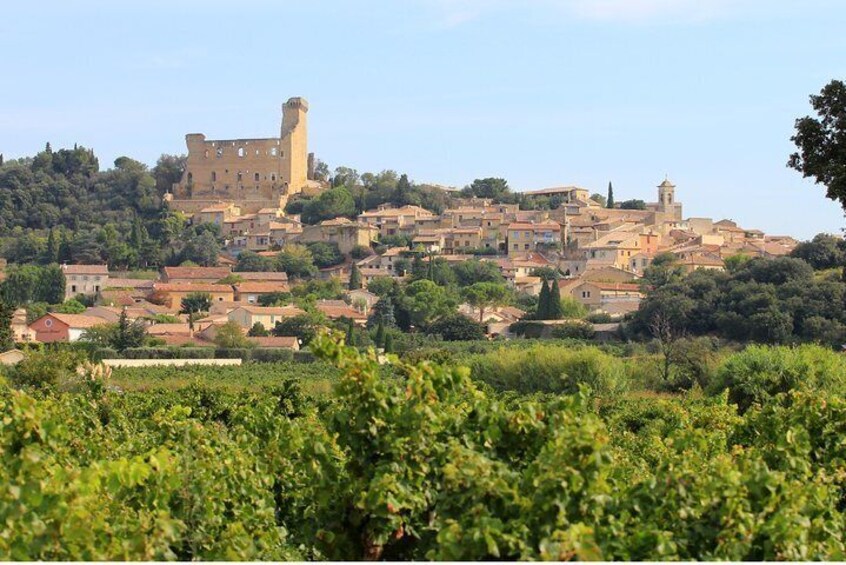 Châteauneuf du Pape Wine Day Tasting Tour including Lunch from Avignon