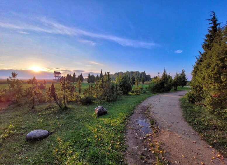 Picture 19 for Activity Riga: Best of Kemeri National Park In One Day