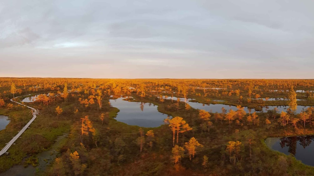 Picture 6 for Activity Riga: Best of Kemeri National Park In One Day
