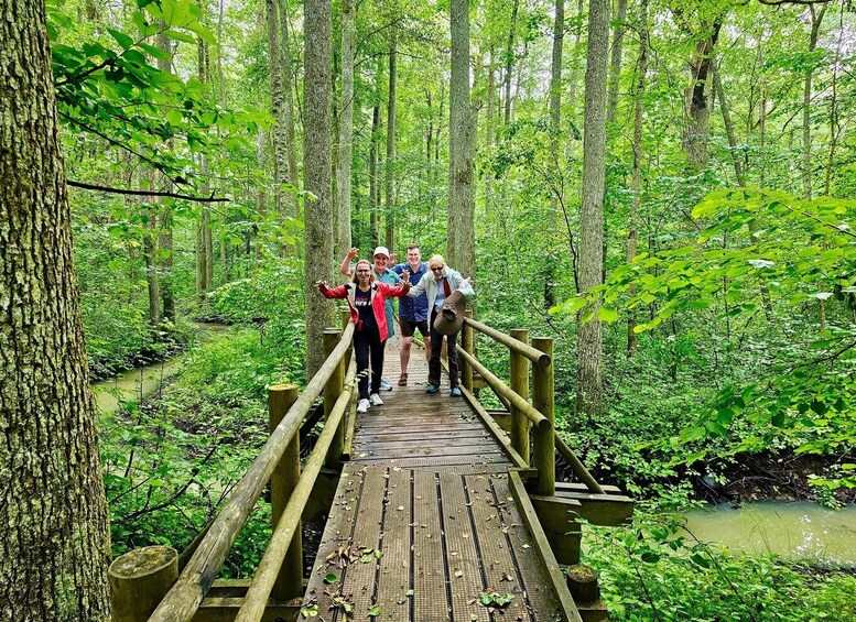 Picture 37 for Activity Riga: Best of Kemeri National Park In One Day
