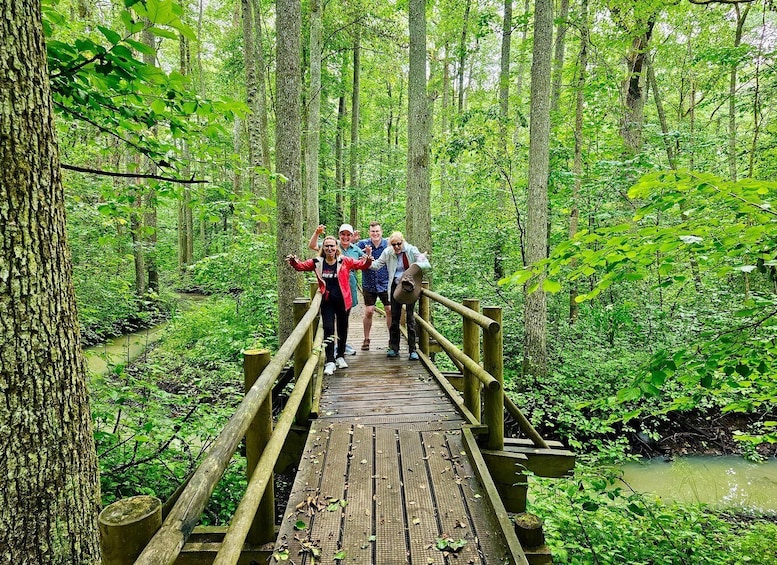 Picture 37 for Activity Riga: Best of Kemeri National Park In One Day
