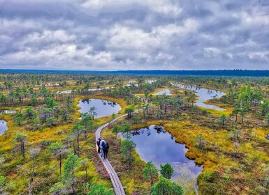 Riga: Det beste fra Kemeri nasjonalpark på én dag