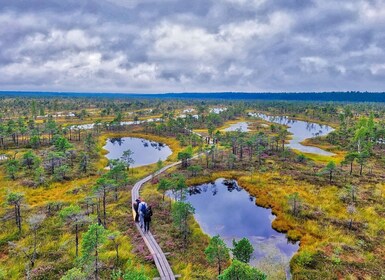 Riga: Det beste fra Kemeri nasjonalpark på én dag