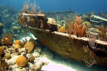 Snorkel naufrage aux Bermudes