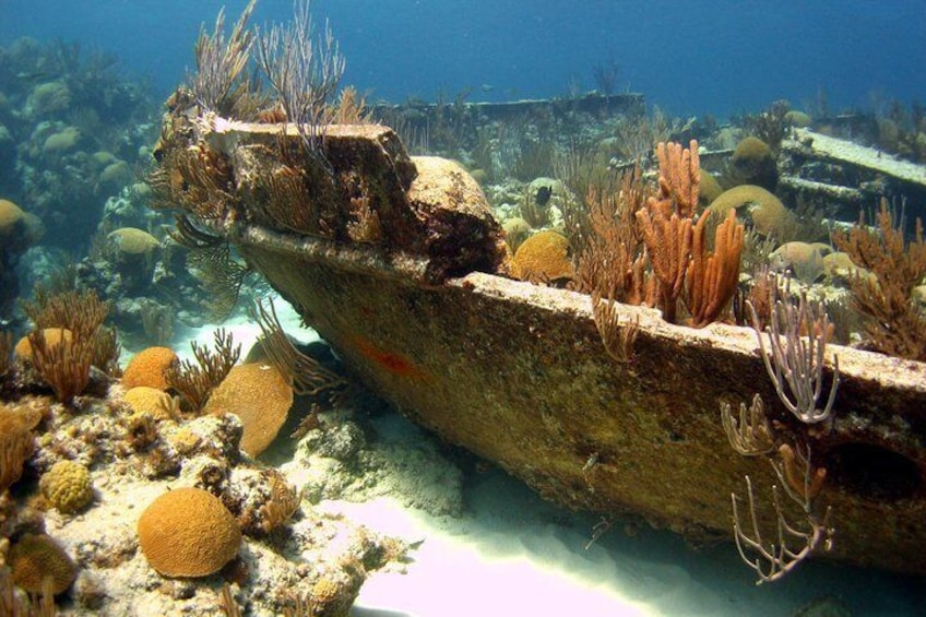 Bermuda Shipwreck Snorkel