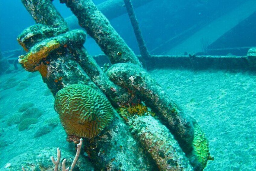 Shipwreck Snorkel in Bermuda