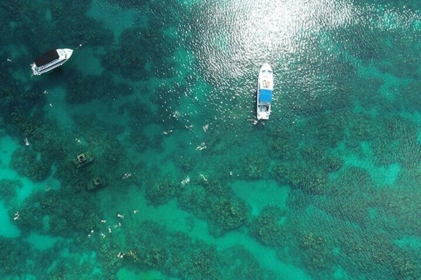 Shipwreck Snorkel in Bermuda