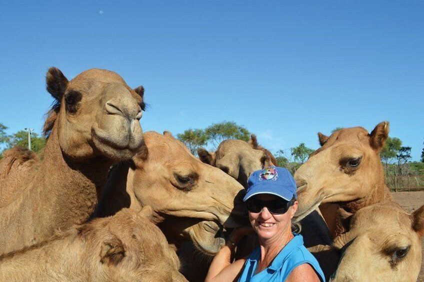 Alison and her beloved camels