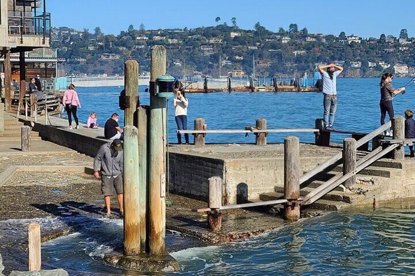 Sausalito Waterfront