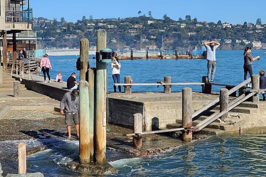 Sausalito Waterfront