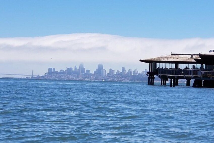 City View from Sausalito