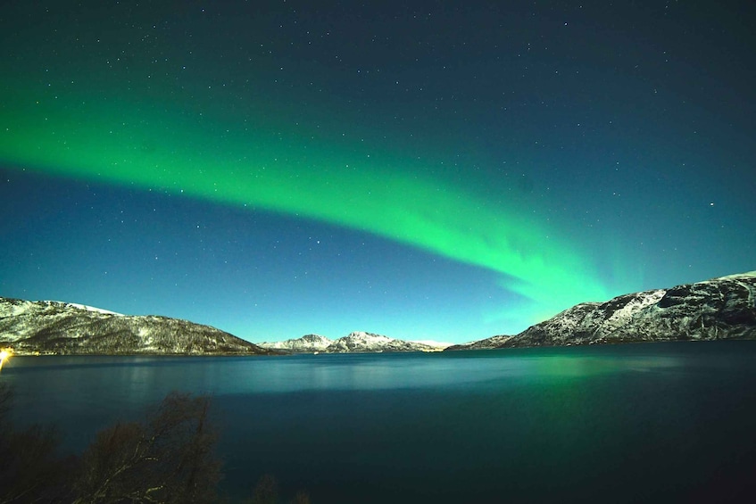 Picture 3 for Activity Tromsø: Northern Lights - Luxury TeslaX Electric Car