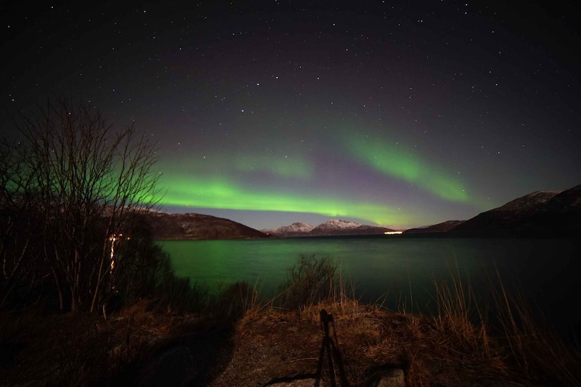 Picture 11 for Activity Tromsø: Northern Lights - Luxury TeslaX Electric Car