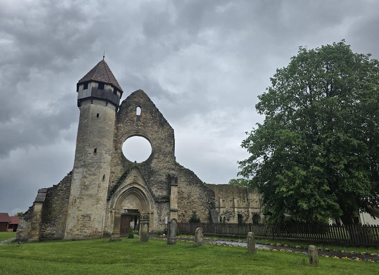 Picture 13 for Activity Brasov: Transfagarasan Highway-Balea Lake - Carta monastery