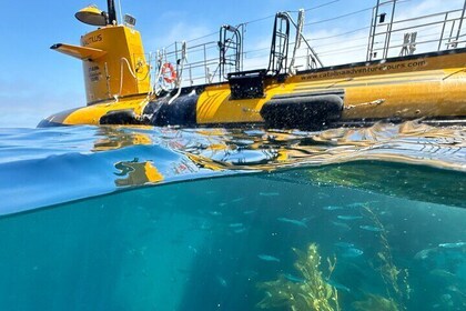 Excursión semi-submarina en Isla Santa Catalina