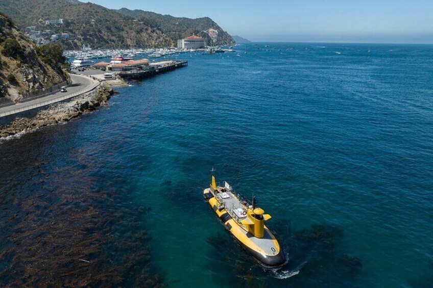 45 Minute Semi-Submarine Tour of Catalina Island From Avalon