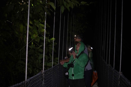 La Fortuna: Night-Time Arenal Rainforest Walk