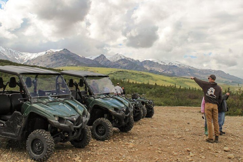 2.5-Hour Denali Wilderness ATV Adventure Tour